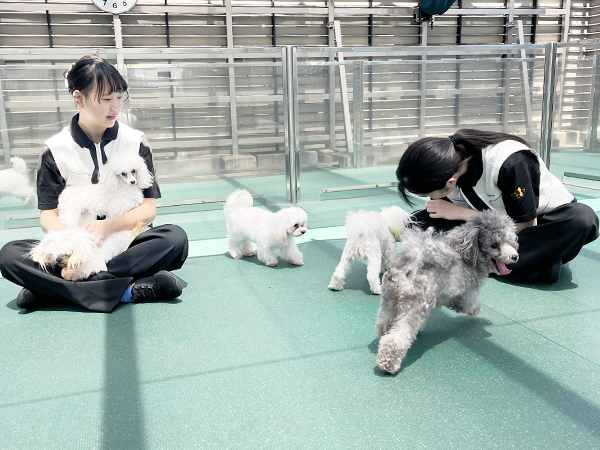 Ｗａｎ活のお散歩！